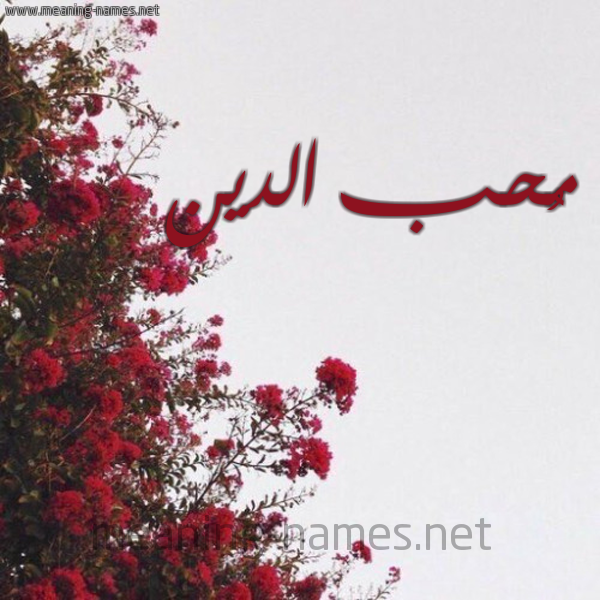 شكل 18 صوره الورد الأحمر للإسم بخط رقعة صورة اسم مُحب الدين Moheb,Muhibb